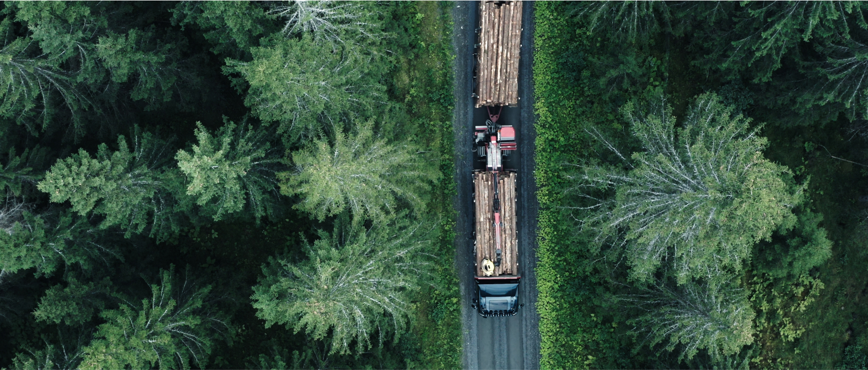 Forpliktelsesløpet 01