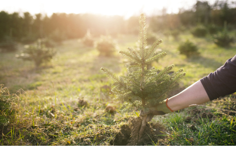 Main nav barekraft 01